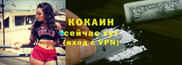 соль ск Дмитровск
