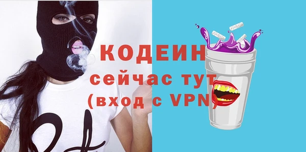 соль ск Дмитровск