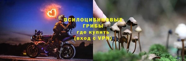 первитин Дмитров