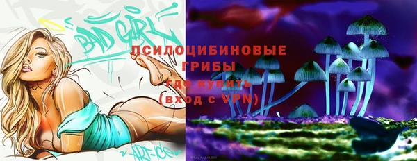 соль ск Дмитровск