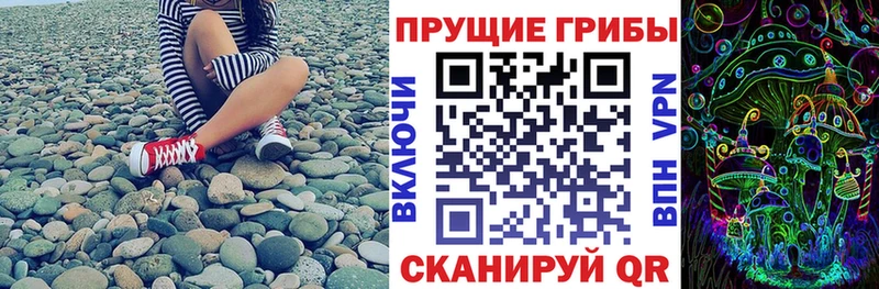 купить наркотик  Черепаново  Галлюциногенные грибы Psilocybe 